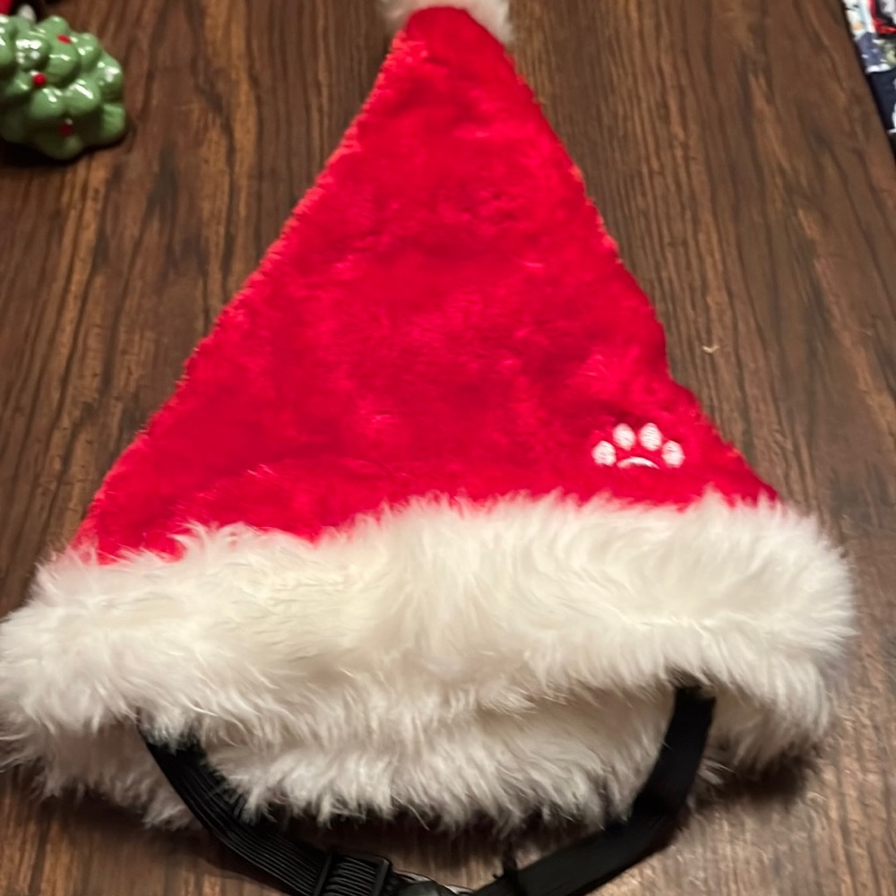 Santa pup hat